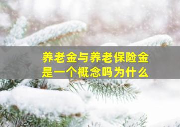 养老金与养老保险金是一个概念吗为什么