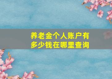 养老金个人账户有多少钱在哪里查询