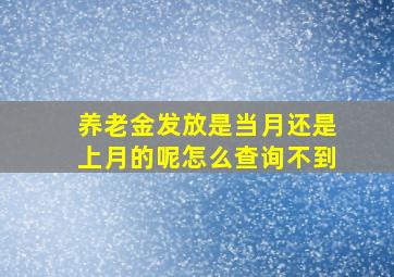 养老金发放是当月还是上月的呢怎么查询不到