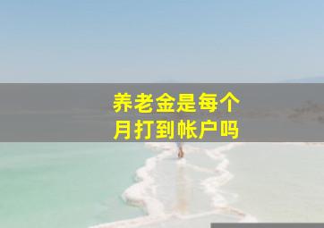 养老金是每个月打到帐户吗