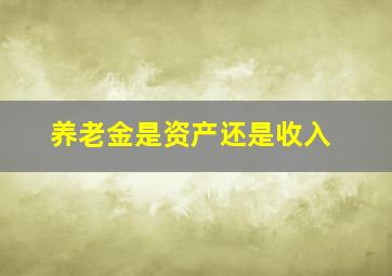 养老金是资产还是收入