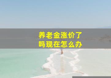 养老金涨价了吗现在怎么办