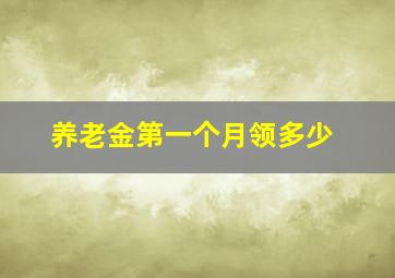 养老金第一个月领多少