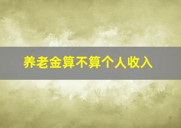 养老金算不算个人收入