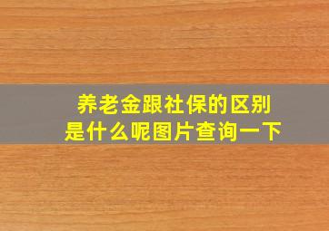 养老金跟社保的区别是什么呢图片查询一下