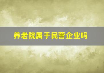 养老院属于民营企业吗