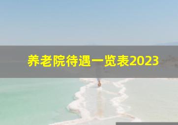 养老院待遇一览表2023