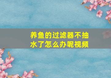 养鱼的过滤器不抽水了怎么办呢视频