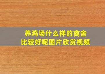 养鸡场什么样的禽舍比较好呢图片欣赏视频