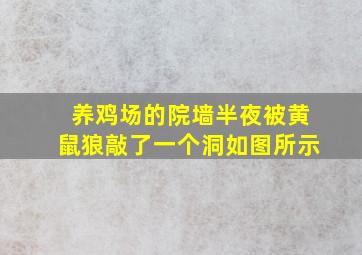 养鸡场的院墙半夜被黄鼠狼敲了一个洞如图所示