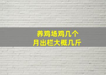 养鸡场鸡几个月出栏大概几斤