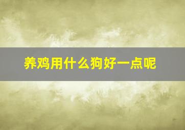 养鸡用什么狗好一点呢