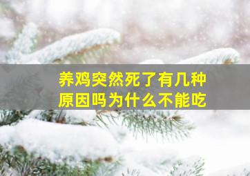 养鸡突然死了有几种原因吗为什么不能吃