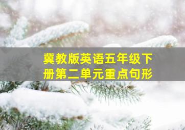 冀教版英语五年级下册第二单元重点句形