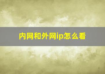 内网和外网ip怎么看