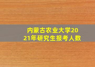 内蒙古农业大学2021年研究生报考人数