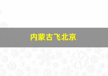 内蒙古飞北京