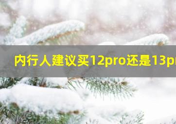 内行人建议买12pro还是13pro