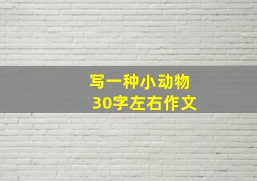 写一种小动物30字左右作文