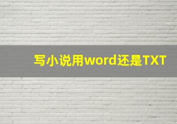 写小说用word还是TXT