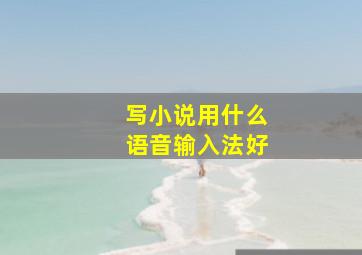 写小说用什么语音输入法好