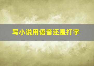 写小说用语音还是打字