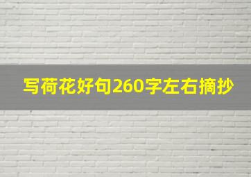 写荷花好句260字左右摘抄