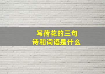 写荷花的三句诗和词语是什么