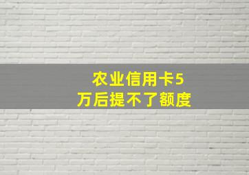 农业信用卡5万后提不了额度