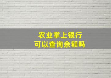 农业掌上银行可以查询余额吗