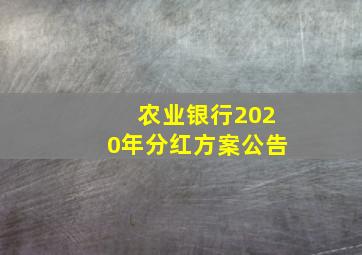 农业银行2020年分红方案公告