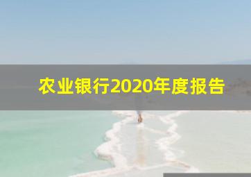 农业银行2020年度报告