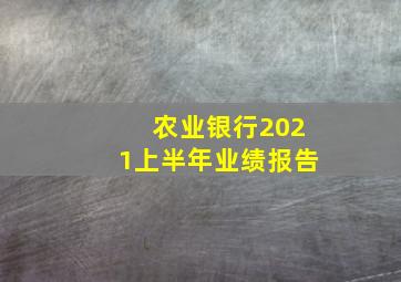 农业银行2021上半年业绩报告