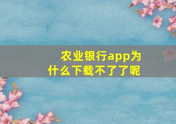 农业银行app为什么下载不了了呢