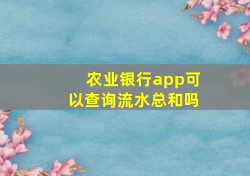 农业银行app可以查询流水总和吗