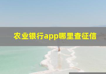 农业银行app哪里查征信