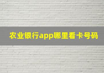 农业银行app哪里看卡号码