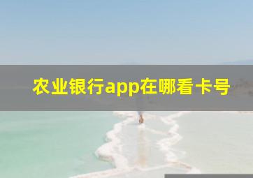 农业银行app在哪看卡号