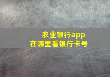 农业银行app在哪里看银行卡号