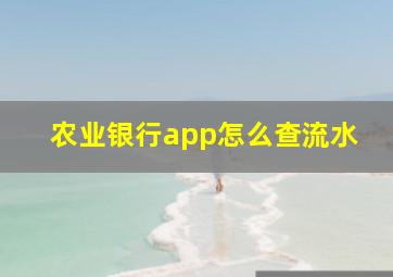 农业银行app怎么查流水