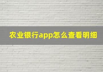 农业银行app怎么查看明细