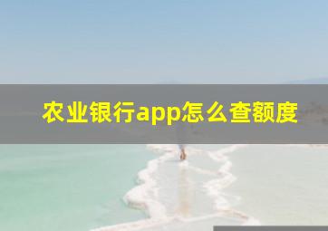 农业银行app怎么查额度