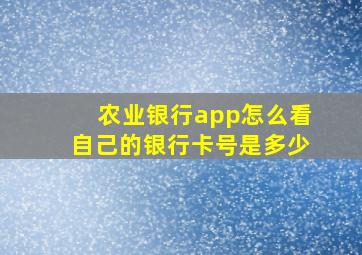 农业银行app怎么看自己的银行卡号是多少