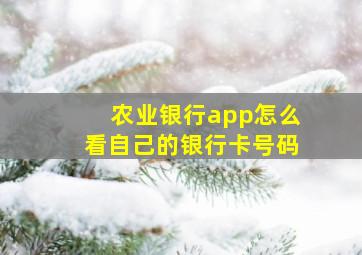 农业银行app怎么看自己的银行卡号码