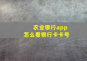 农业银行app怎么看银行卡卡号