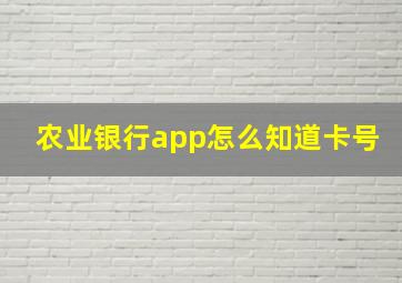 农业银行app怎么知道卡号