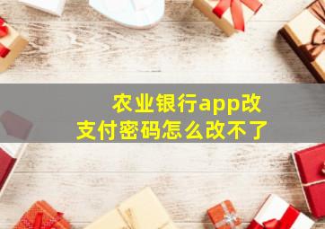 农业银行app改支付密码怎么改不了