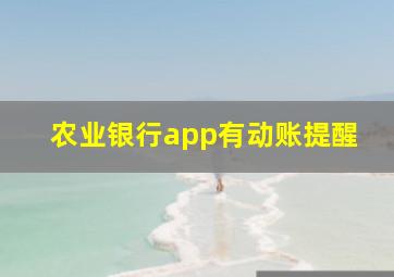 农业银行app有动账提醒