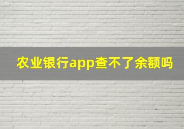 农业银行app查不了余额吗