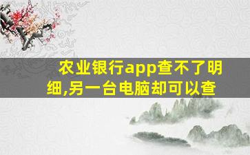 农业银行app查不了明细,另一台电脑却可以查